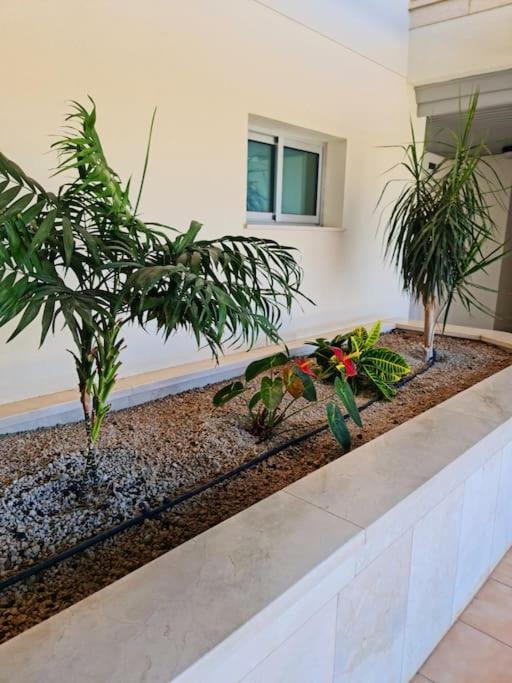 Homely Apt In Modern Building With Pool San Miguel de Abona Buitenkant foto